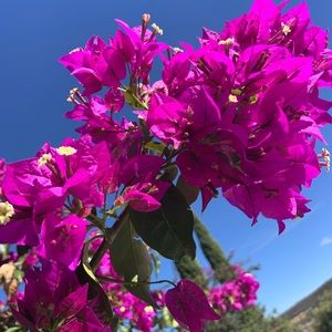 Meet your Posher, Mariela